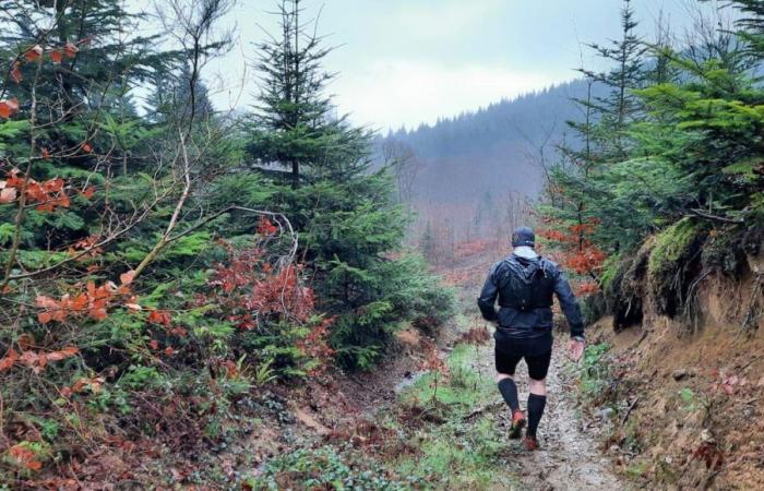 In occasione del suo 18° anniversario, il sentiero del Lupo Bianco fa la parte del leone nella Creuse