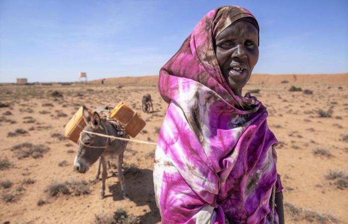 COP29: La Svizzera vuole includere Cina e Russia tra i paesi che pagano per la crisi climatica