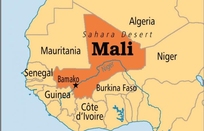 Miniera d’oro in Mali: la giunta militare al potere colpisce duro…