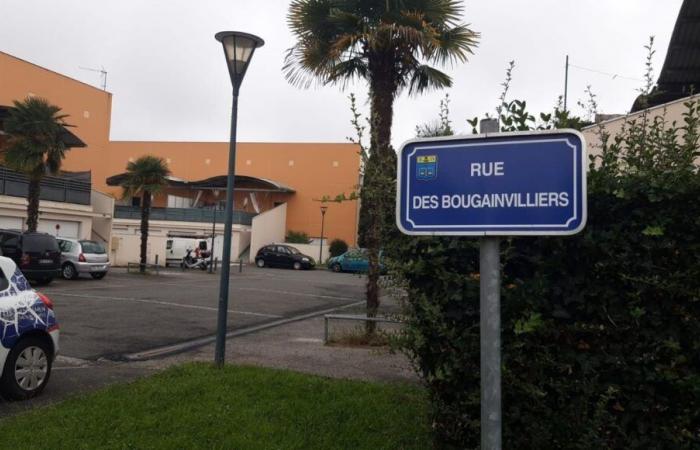 Pau: un uomo muore bruciato nel quartiere di Ousse-des-Bois