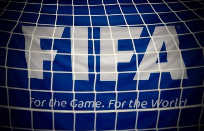 Amnesty International chiede alla FIFA di “interrompere” il processo di assegnazione della Coppa del Mondo 2034 (Calcio)