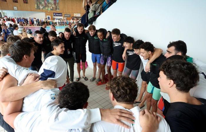 RAPPORTO. Léon Marchand: “È come noi, tranne che ha sfondato…” Immersione con i compagni di squadra del nuotatore stellato al TOEC Dauphins