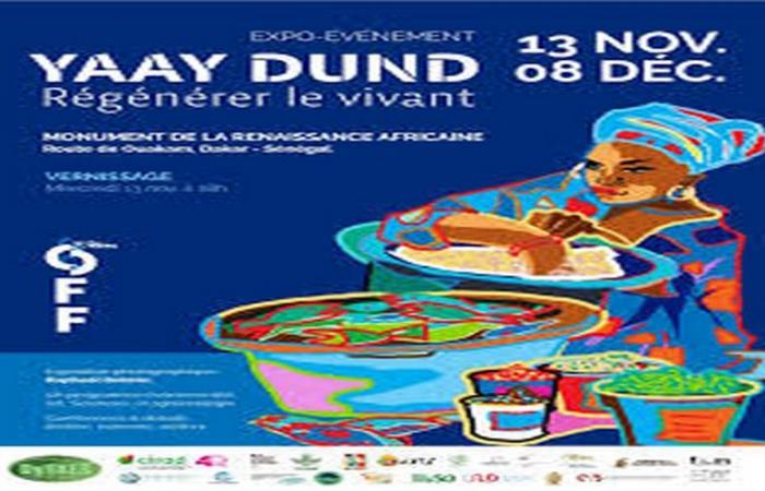 Senegal: Inaugurazione della mostra-evento DyTAES “YAAY DUND, Regenerating the living” – VivAfrik