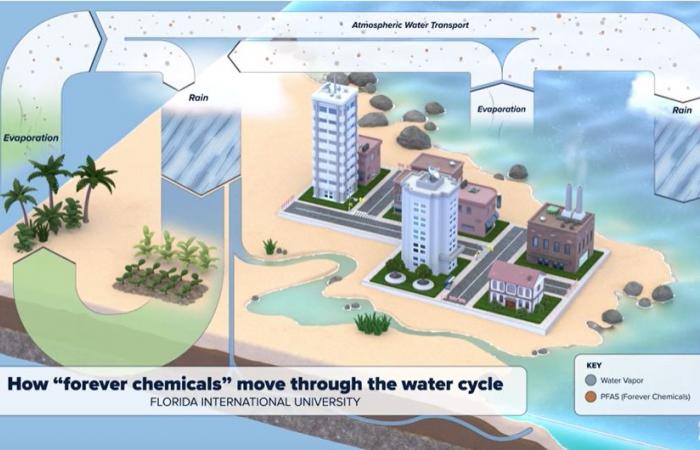 L’analisi dell’acqua piovana rivela che contiene composti “chimici per sempre” o “chimici per la vita”, PFAS!