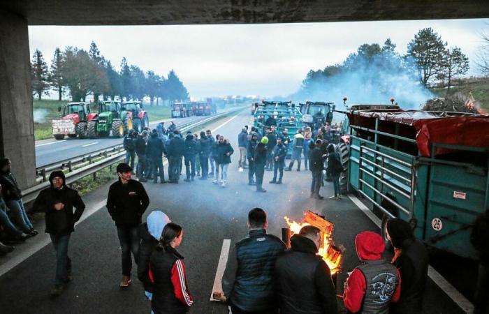 La rabbia degli agricoltori: dobbiamo aspettarci nuovi blocchi nell'Ille-et-Vilaine?