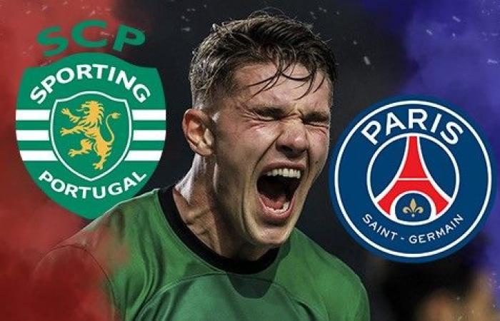 Mercato PSG: lo Sporting Portogallo apre le porte a Viktor Gyökeres! – Trasferimenti