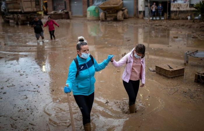 Charente-Maritime: un panettiere cerca un corriere per trasportare le sue donazioni in Spagna, via Montauban