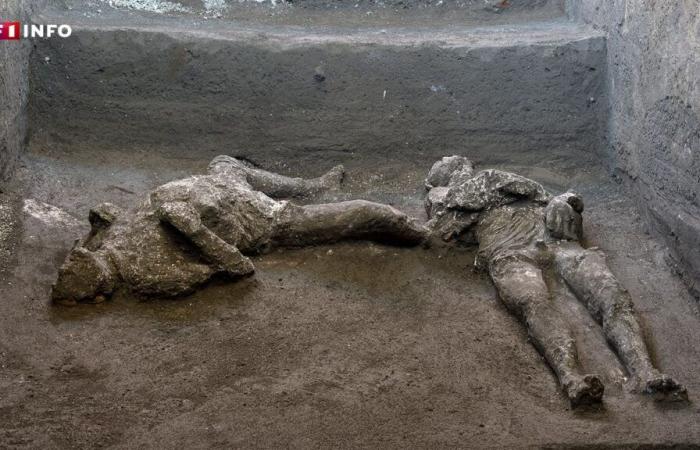 Pompei: le analisi del DNA svelano la vera storia delle vittime dell’eruzione del Vesuvio