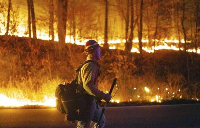 Incendio negli stati del New Jersey e New York… Oltre 1.200 ettari già distrutti e un morto