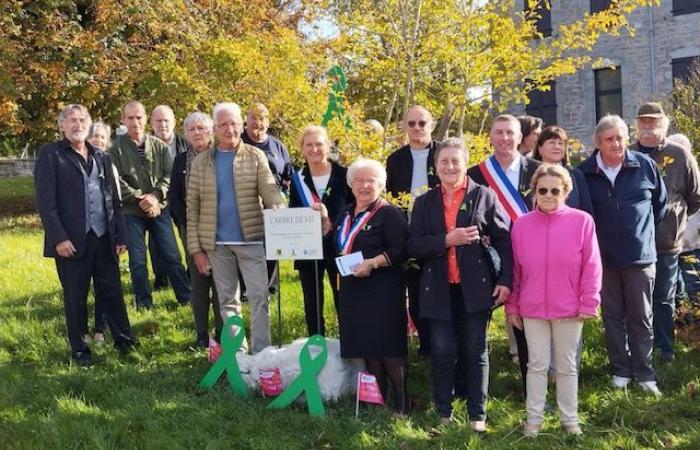 Champagnole & Regione. Un albero della vita in onore dei donatori di organi, una novità nel Giura! | Settimanale 39