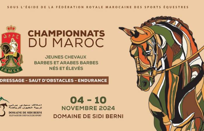 Campionati marocchini di dressage, salto ostacoli e endurance: gli ultimi verdetti