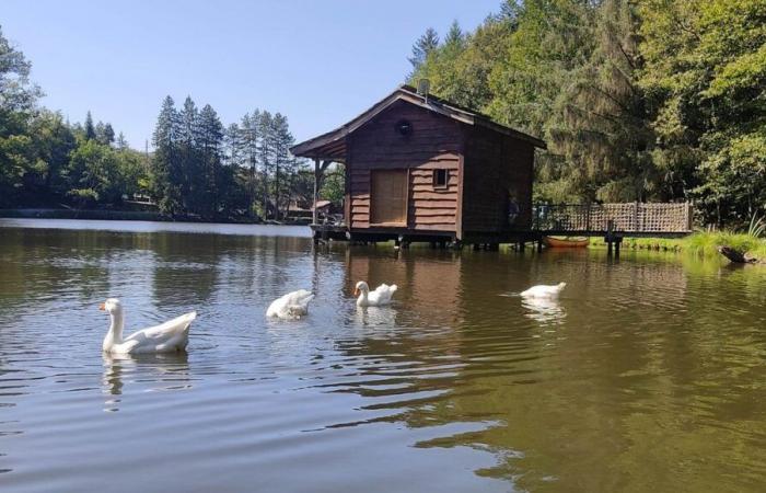 “C'è una grande evoluzione”, i clienti di questo gîte della Dordogna vengono per brevi periodi