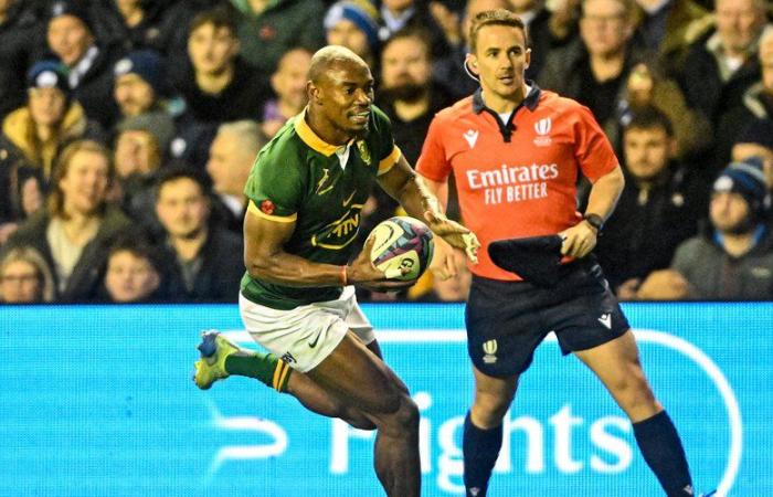 Tour autunnale 2024 – Classifica mondiale di rugby: il Sudafrica passa in testa, l'Irlanda perde due posti, la Francia quarta