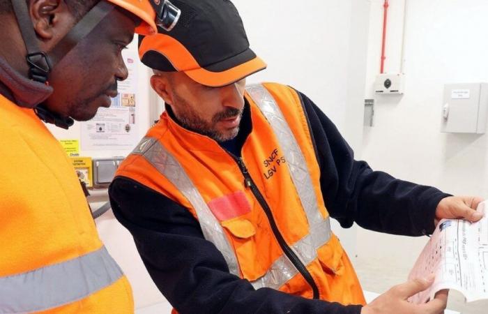 Gare de Lyon (Parigi 12): perché la linea LGV è interrotta?