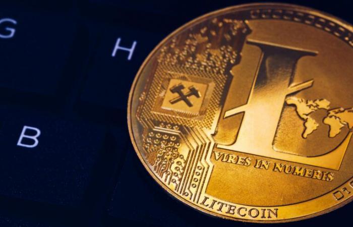 Litecoin Core v0.21.4 viene lanciato con aggiornamenti critici di sicurezza prima della possibile approvazione dell'ETF LTC