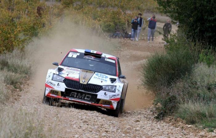 VIDEO – “Che cosa sono, sono cacciatori?” un'auto interrompe il rally Terre de Vaucluse