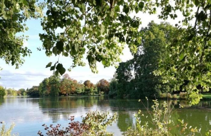 le nostre idee di gite per un'esplosione di colori nella Val-de-Marne