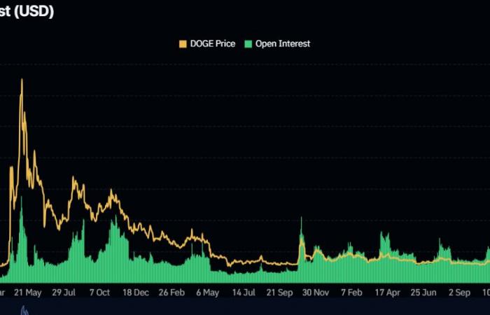 Dogecoin estende i guadagni mentre i trader valutano il ruolo di Elon Musk nella prossima amministrazione Trump