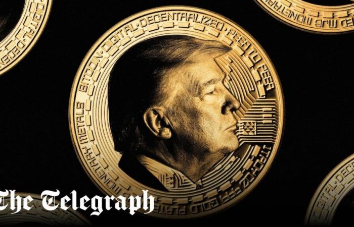 I fratelli delle criptovalute sono pronti a guadagnare miliardi dalla presidenza Trump mentre Bitcoin esplode