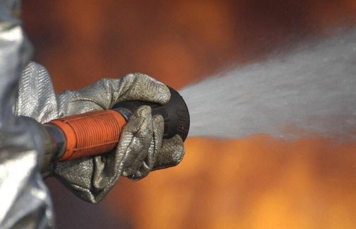 Una ragazzina di 12 anni è stata avvelenata dal fumo dopo l'incendio scoppiato in un edificio a Barentin