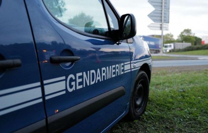 Una richiesta di testimoni lanciata dalla gendarmeria della Mosella, in seguito alla preoccupante scomparsa di una donna di 74 anni