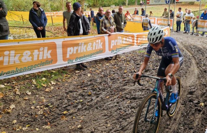 Anteprima Mercato Annuale Superprestige Cross Niel 2024 | Nys e Ronhaar mandano il loro gatto, ma non preoccuparti