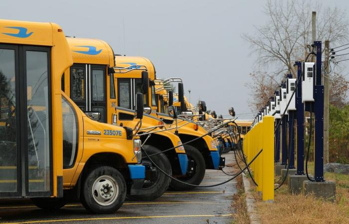 Da due a tre volte più caro per un viaggio in autobus scolastico