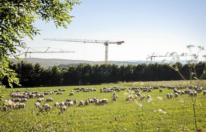 Larzac, sublime nell’obiettivo di Philémon d’Andurain