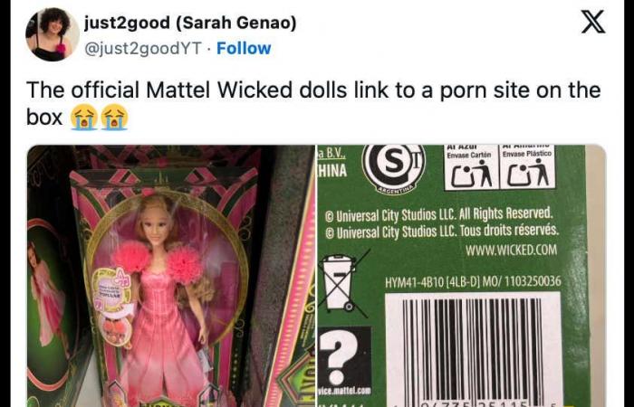 Mattel si scusa dopo aver promosso accidentalmente un sito porno sulla confezione di una nuova bambola “malvagia”.