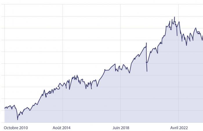 Investi in tutta tranquillità: approfitta del successo in borsa delegando