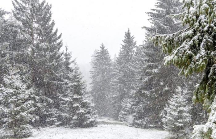 Il limite delle nevicate continua a scendere: l’inverno nevicherà anche al nord? | Notizia