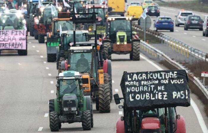 Jérôme Bayle deplora le azioni “più politiche che costruttive”