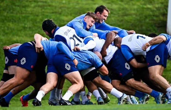 un nuovo dirigente dei Blues allontanato dai titolari per lo scontro contro gli All Blacks?