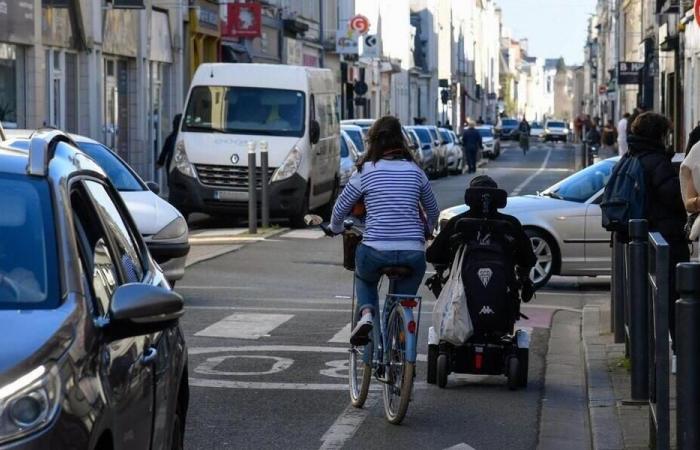 La domanda del giorno. Sicurezza dei ciclisti: bandire le auto dalle strade?