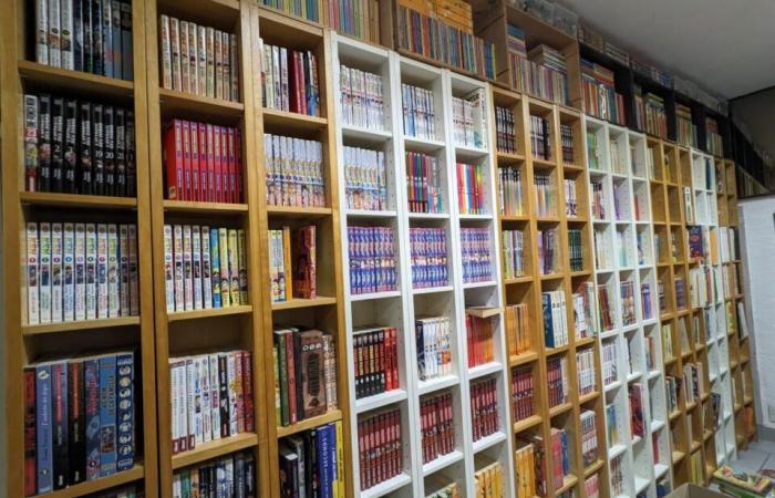 apre una libreria per vendere la sua eccezionale collezione di 26.000 fumetti, manga e fumetti