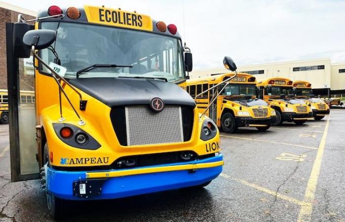 Da due a tre volte più caro per un viaggio in autobus scolastico