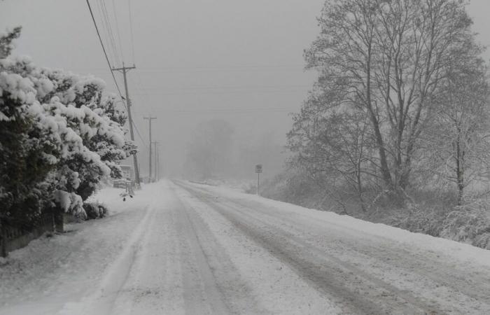 la neve arriva questo martedì sulle colline, nella Lozère e nei Pirenei!