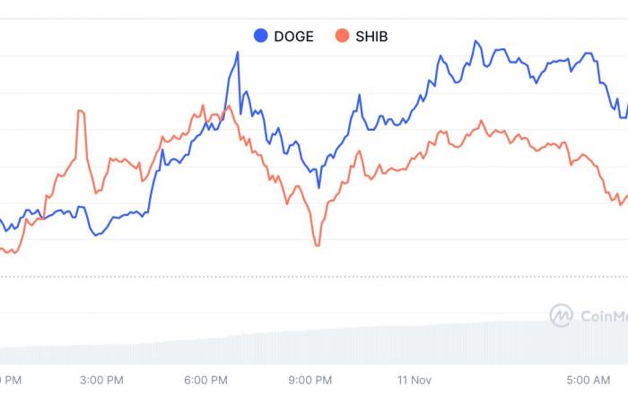 I prezzi di Memecoin esplodono mentre Dogecoin, Shiba Inu aprono la strada e l’ICO di Flockerz si avvicina a 1,5 milioni di dollari