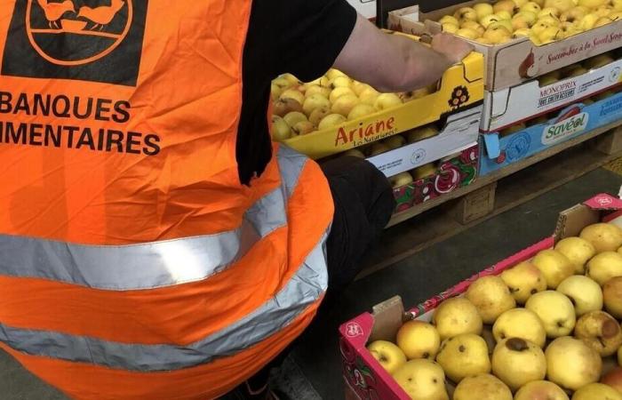 Il Banco Alimentare del Morbihan mette in mostra questo martedì la vita quotidiana dei suoi volontari