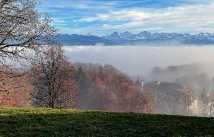 Martedì nevicherà fino a 1000 metri