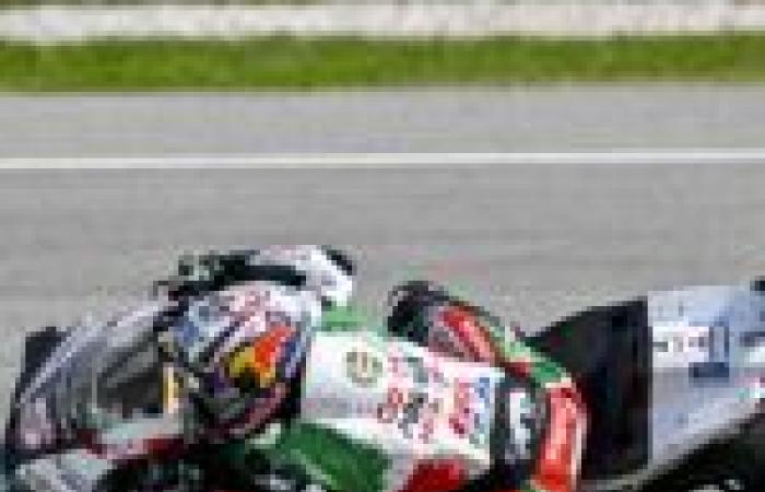 Classifica dei piloti giapponesi in MotoGP, Quartararo e Zarco incoronati! -Le Mag Sport Auto