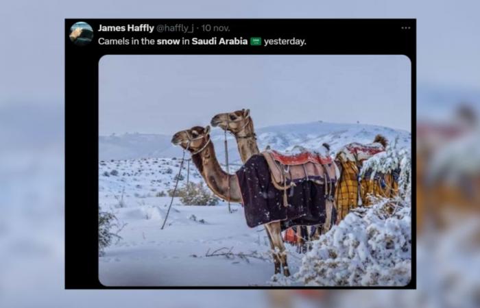 le immagini più belle del paese colpito dalla neve