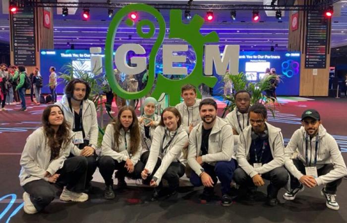 iGEM ​​2024: la squadra Genopole Évry Paris-Saclay vince l’oro