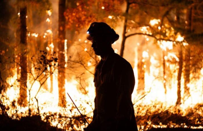 Una siccità storica divampa in tutto il nord-est mentre gli incendi bruciano su entrambe le coste