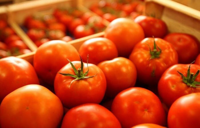 Commercio: i prezzi dei pomodori tornano alla normalità