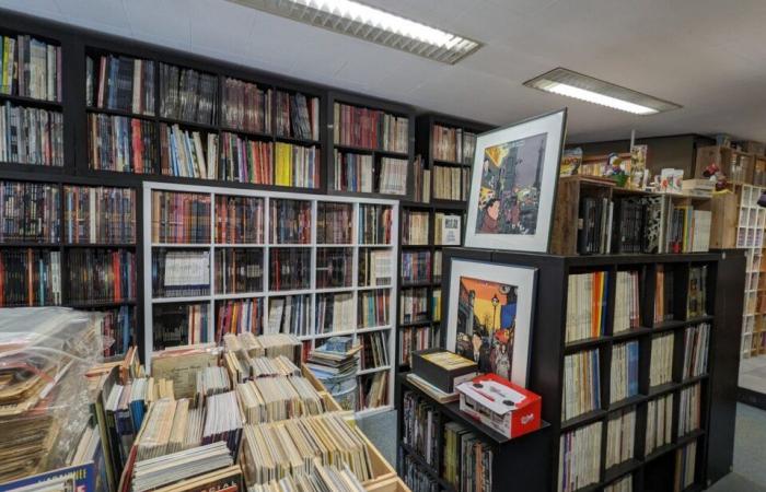 apre una libreria per vendere la sua eccezionale collezione di 26.000 fumetti, manga e fumetti