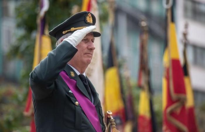 Re Filippo commemora l’Armistizio ai piedi della colonna del Congresso a Bruxelles (foto)