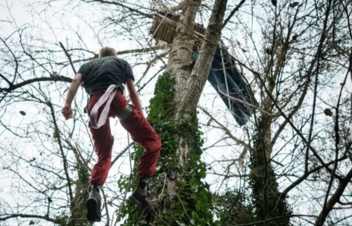 VIDEO. “Voglio vedere se sono pronti a uccidere la gente”, uno “scoiattolo” minaccia di impiccarsi nel cantiere LGV