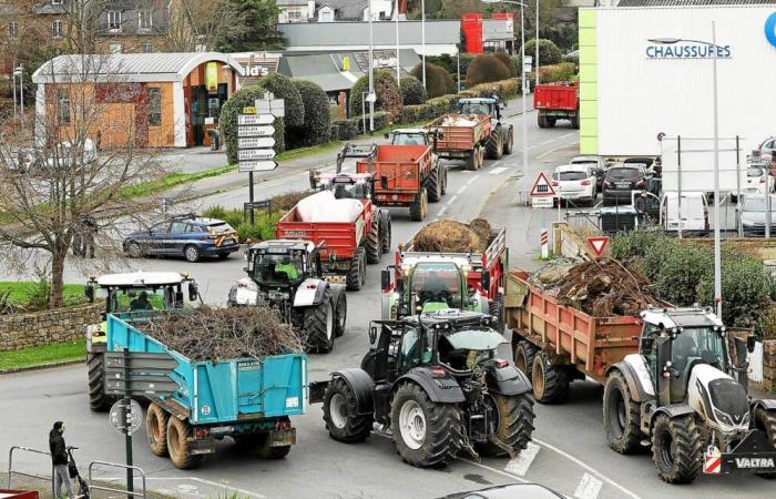 “Non riusciremo a resistere, ragazzi”: annunciata una mobilitazione degli agricoltori in Côtes-d’Armor