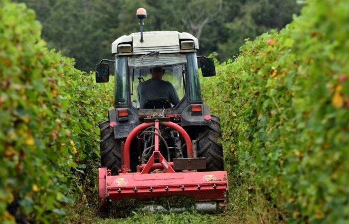 Sulle strade o nei campi ci sono più incidenti con i trattori rispetto a prima?